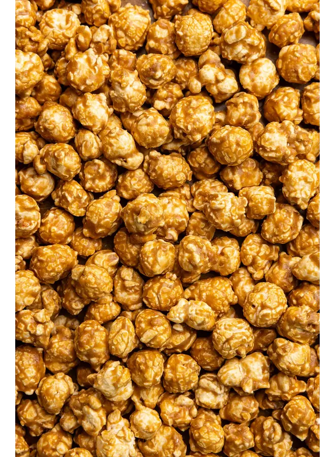 Fall Market Bag- Salted Caramel