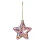 Sequin Star Ornament for Melina