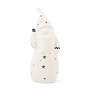 Courtly Noel Illuminated Santa