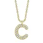 14K/Diamond Bubble Pave Initial Necklace -