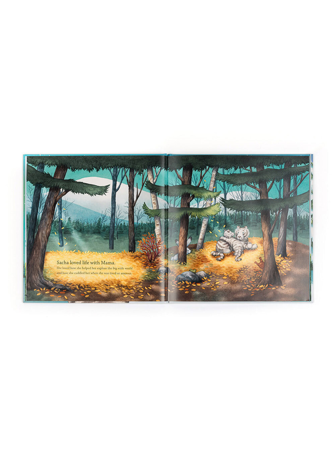 Sacha and the Most Wonderful Thing Book