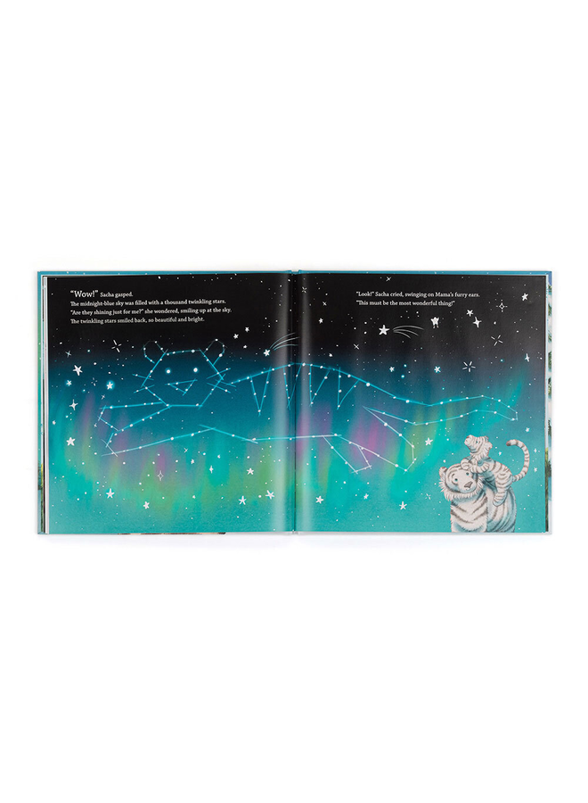 Sacha and the Most Wonderful Thing Book