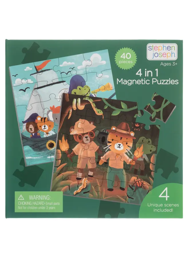 4-in-1 Magnetic Puzzle -
