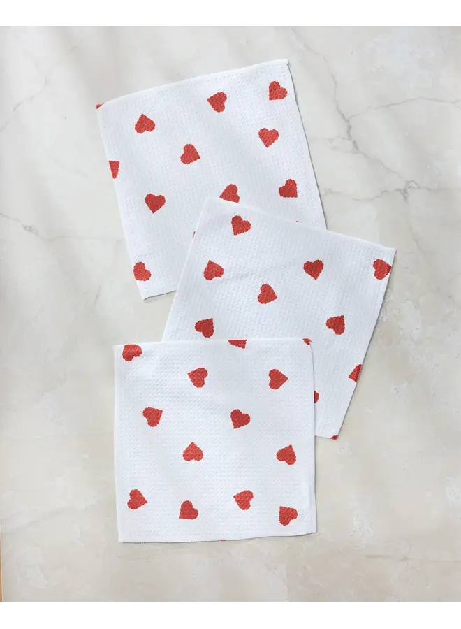 February Dishcloth Set -