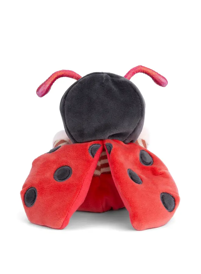 Ziggy Ladybug