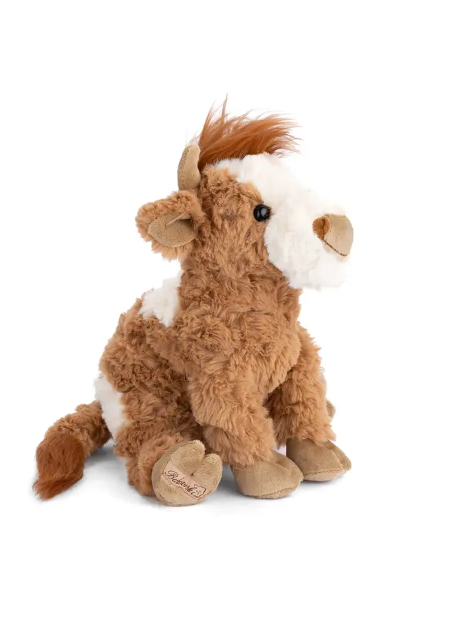 Madison (Highland Cow)