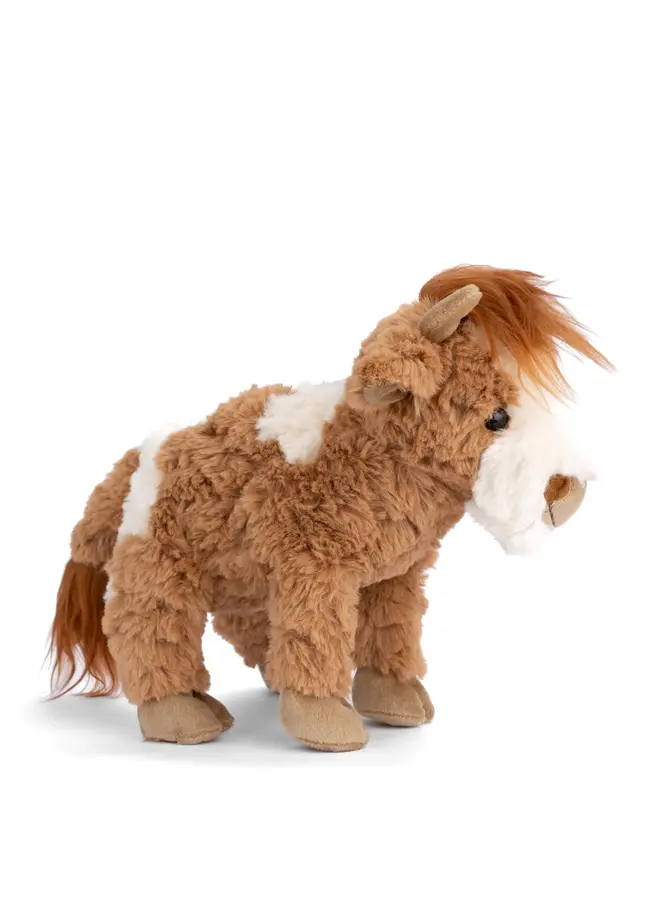 Madison (Highland Cow)