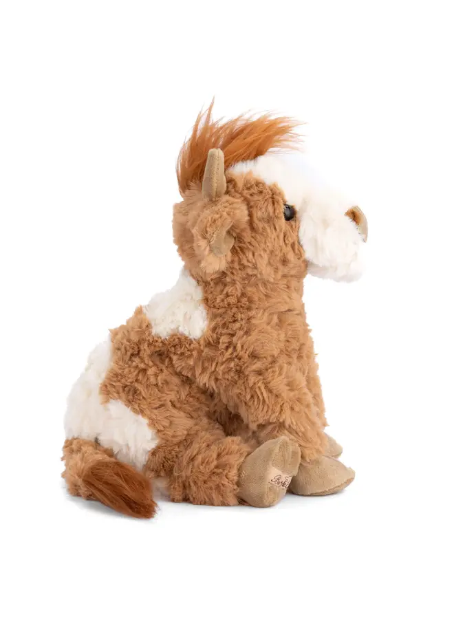 Madison (Highland Cow)