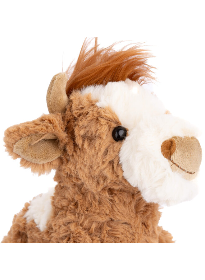 Madison (Highland Cow)