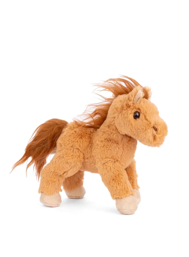 Baby Chocolate (Horse)