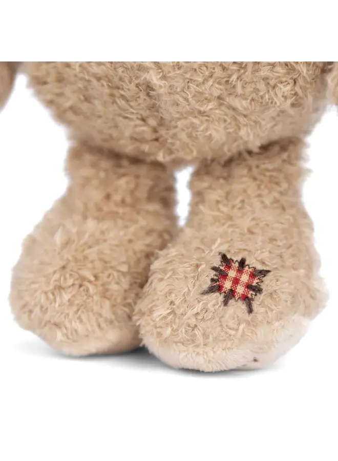 Nobody is Perfect Bear