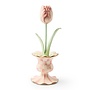 Rosy Garden Tulip in Vase