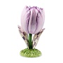 Tulip Trophy