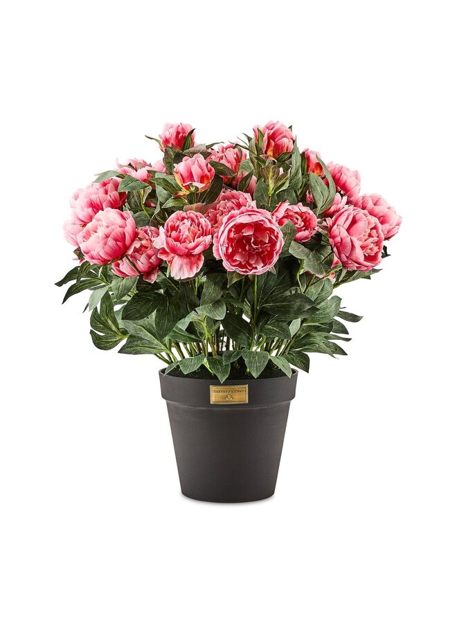 Pink Peony Urn Filler