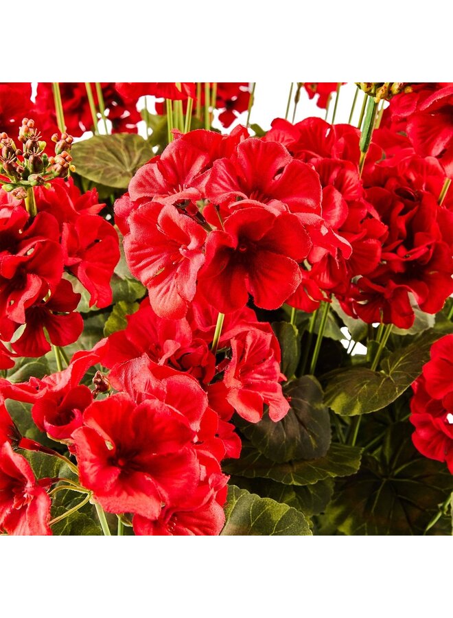 Red Geranium Urn Filler