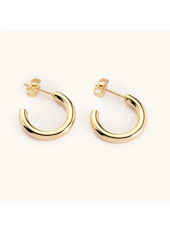 Tessa Tube Hoops - Small