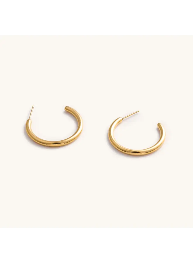 Tessa Tube Hoops - Small