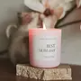 15 oz Soy Candle -