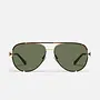 High Key Twist Sunglasses - Dark Tort/Green
