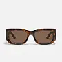 Tell Me More Sunglasses - Coffee Tort/Brown