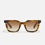 Game Over Sunglasses - Coffee Swirl/Sepia