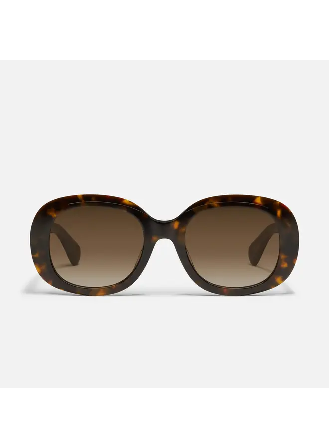 Impromptu Sunglasses - Neutral Tort/Brown