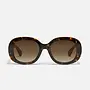 Impromptu Sunglasses - Neutral Tort/Brown