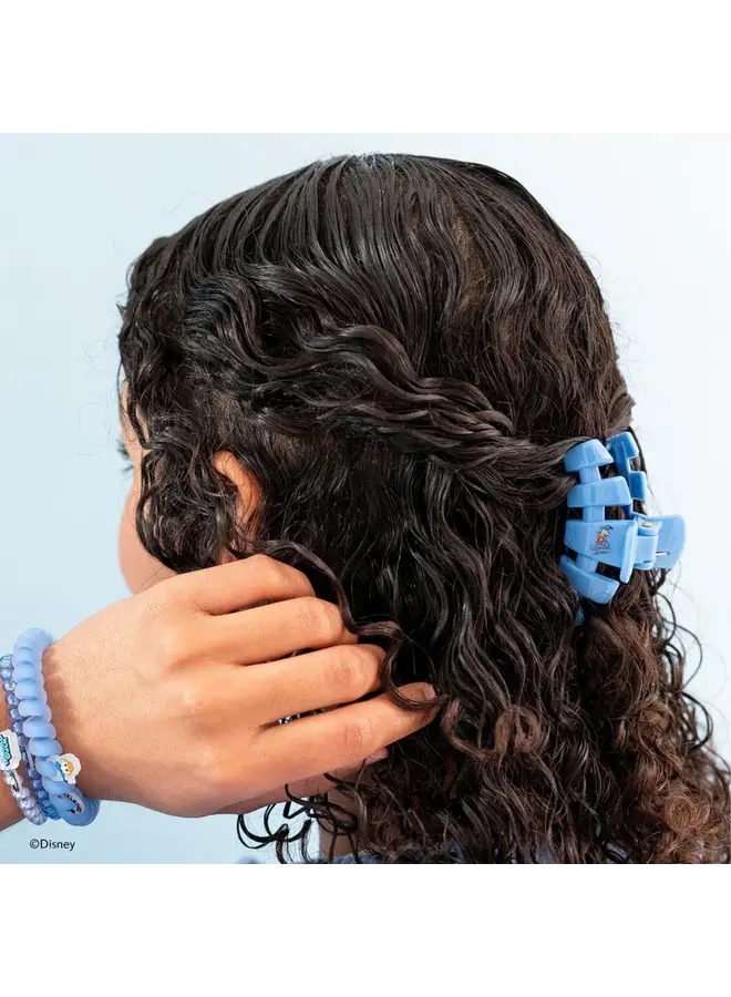 Classic Hair Clip