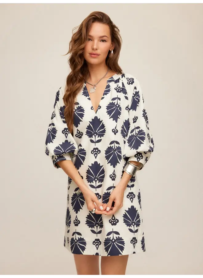 Brianne Lantern Sleeve Dress