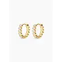 Champagne Hoops - Gold