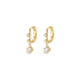 Edition Earring - Gold