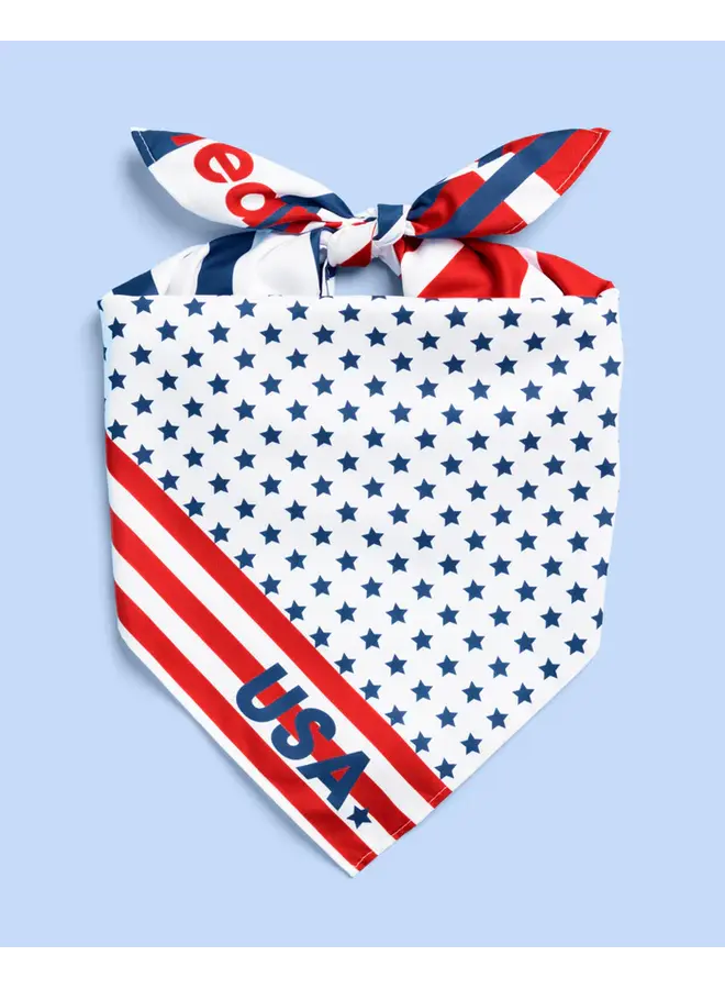 World Cup USA Bandana