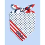 World Cup USA Bandana