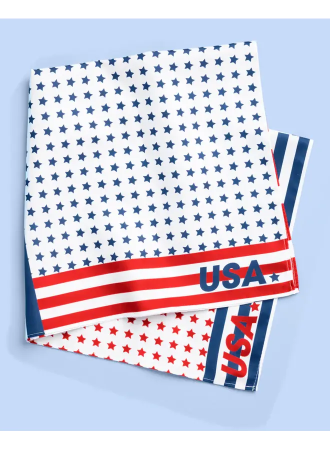 World Cup USA Bandana