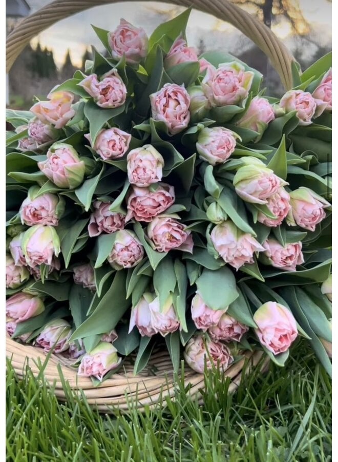 Thursday 6/25- 5:30pm Bouquet Making Class with Tara Fodor