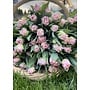 Thursday 6/25- 5:30pm Bouquet Making Class with Tara Fodor