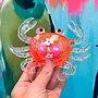 Squishy Crab -
