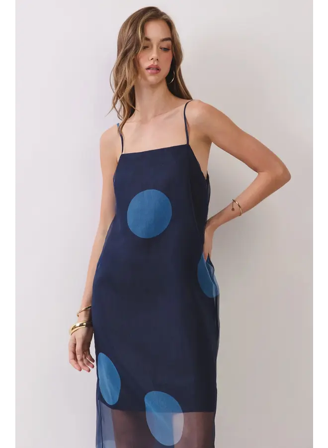 Polka Dot Sheer Maxi Dress-