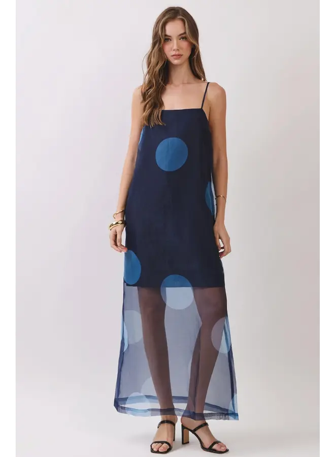 Polka Dot Sheer Maxi Dress-