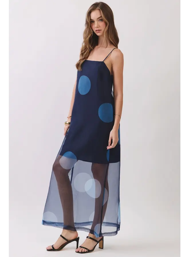 Polka Dot Sheer Maxi Dress-