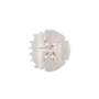 Sand Dollar Flat Hair Clip -Medium