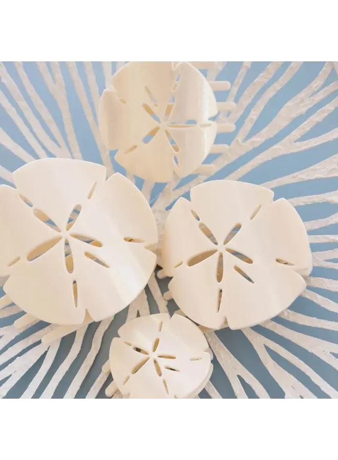 Sand Dollar Flat Hair Clip -Medium