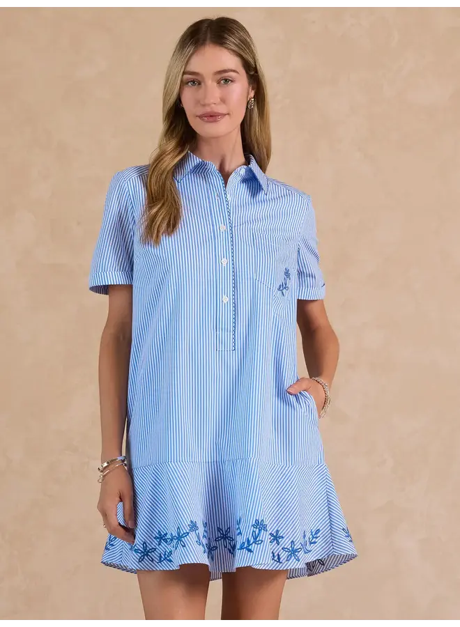 Stripe Embroidered Mini Shirt Dress