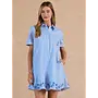 Stripe Embroidered Mini Shirt Dress