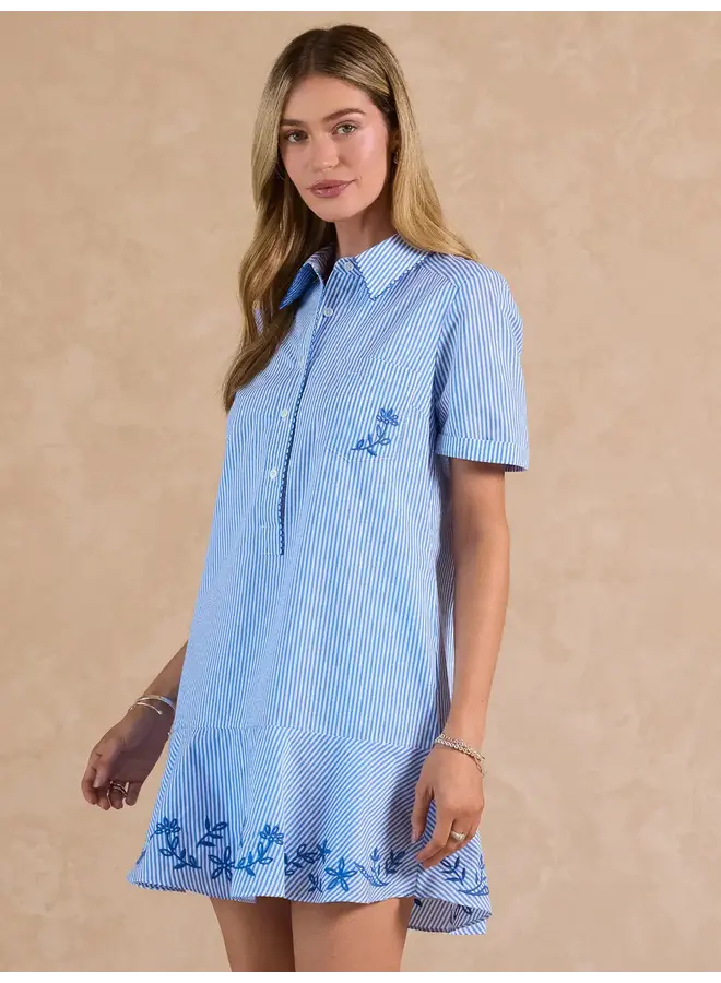 Stripe Embroidered Mini Shirt Dress