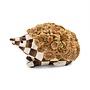 Chocolate Check Hedgehog