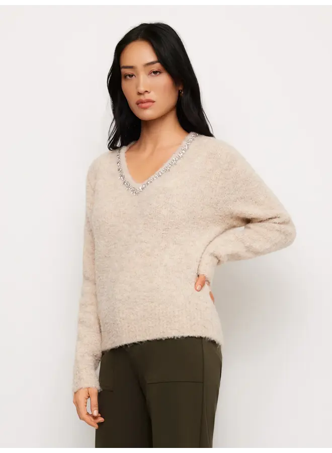 Ash Embellished V Neck Sweater-