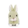 Baby Bunny - Lime