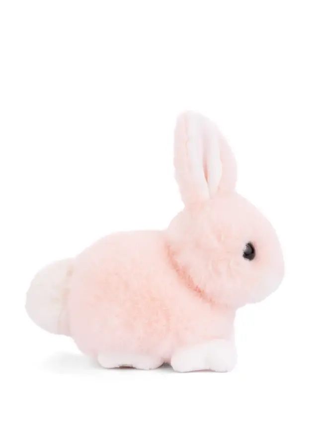Baby Bunny - Peach