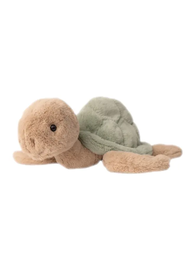 Sandy (Turtle)